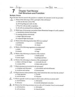Page 1 Name Af, tº Class /?i`ſ Date 7 chapter Test Review Cell