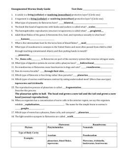 Unsegmented Worms Study Guide Test Date The planarian s