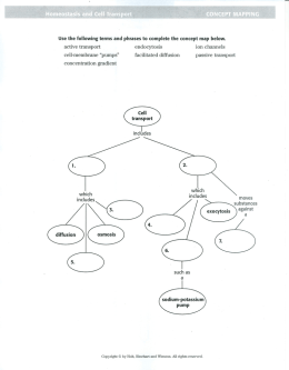Cellular Transport Concept Map