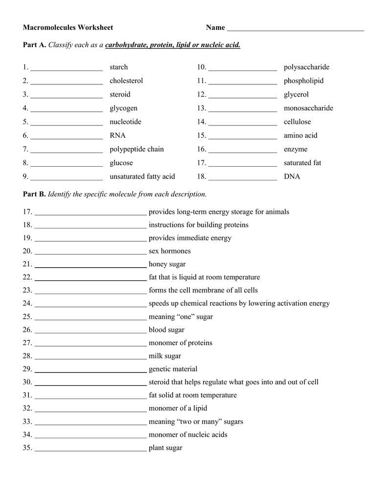 Macromolecules Worksheet 2 Answers