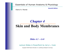 Skin and Body Membranes Skin and Body Membranes