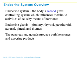 Endocrine System: Overview Endocrine system – the body`s second