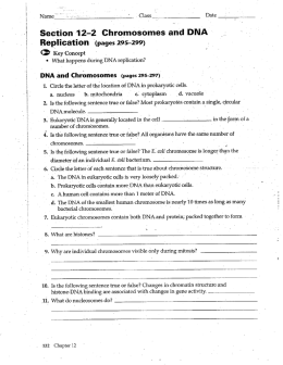 Section-12—2 ChromosOmes and DNA `