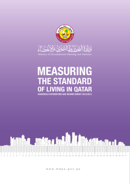 Measuring the Standard of Living in Qatar