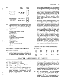Chapter 16-17-19 Answers