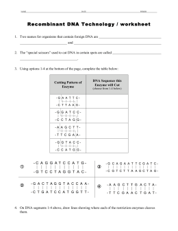 Recombinant DNA Technology / worksheet © © © ©