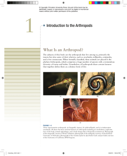 What Is an Arthropod? Introduction to the Arthropods