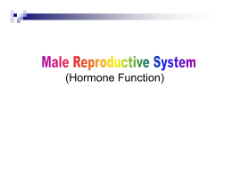 (Hormone Function)