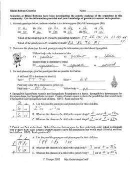 Sponge Bob Genetics WS Answer Key