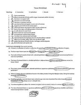 Answer Key