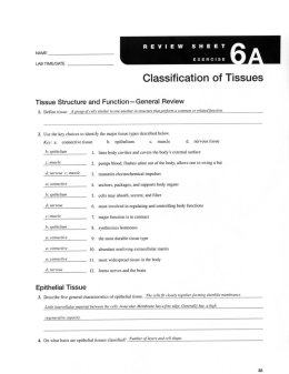 Classification of Tissues