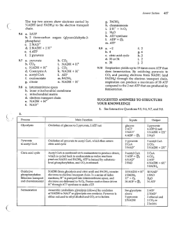 ap answers ch10-11