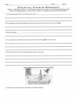 ECOLOGICAL PYRAMIDS WORKSHEET