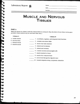 Laboratory Report 8