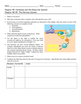 Chapter 45: Hormones and the Endocrine System