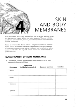 SKIN AND BODY MEMBRANES