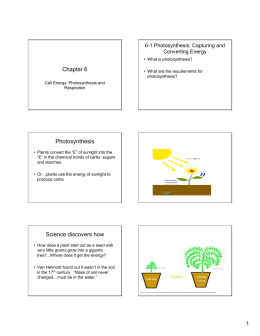Chapter 6 Photosynthesis Science discovers how