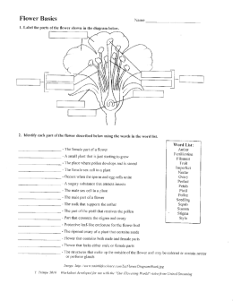 Flower Basics Name