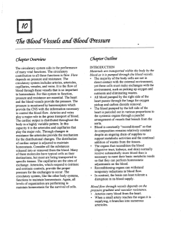 Chapter 10 Blood Vessels and Blood Pressure