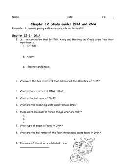 Chapter 12 Study Guide: DNA and RNA