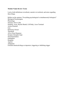 review terms for Friday`s quiz