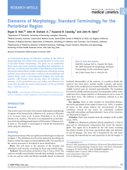 Elements of morphology: Standard terminology for the periorbital