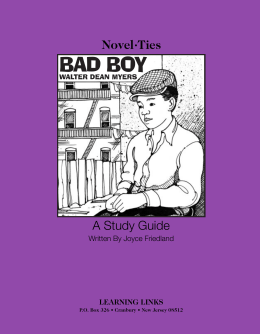 BAD BOY - Learning Links