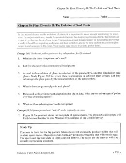 Chapter 30: Plant Diversity H: The Evolution of Seed Plants