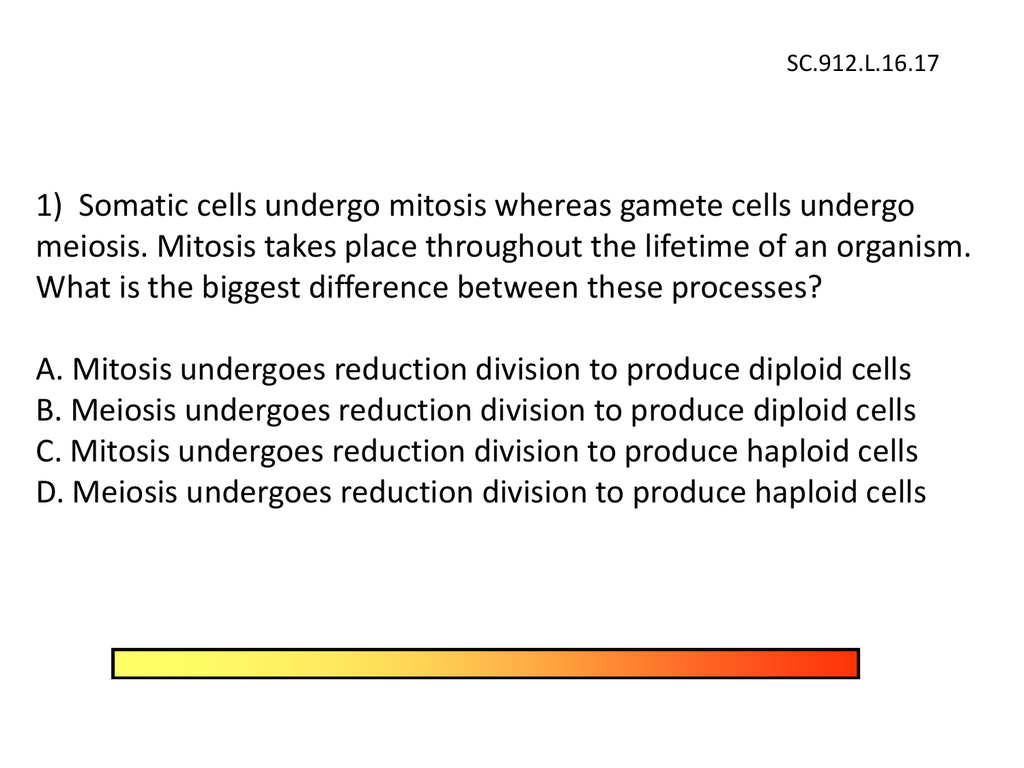 1 Somatic Cells Undergo Mitosis Whereas Gamete Cells Undergo