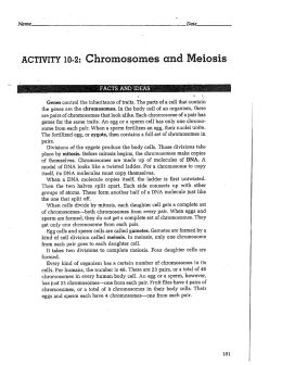ACTIVITY 10-2: Chromosomes and Meiosis