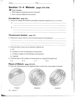 Section 11—4 Meiosis (pages 275-278)
