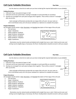 Cell Cycle Foldable
