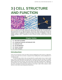 Chapter 3- Cell Structure and Function