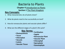 Bacteria to Plants