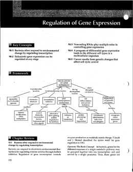 Ch. 18 Regulation of Gene Expression - juan