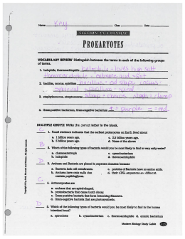 prokaryotes - Green Local Schools