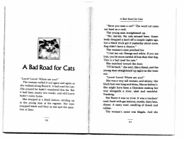 A Bad Road for Cats