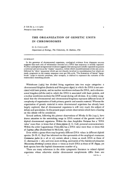THE ORGANIZATION OF GENETIC UNITS IN CHROMOSOMES