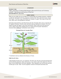 Plant Structure and Functions of Plant Parts OVERVIEW