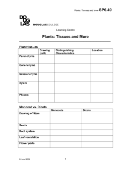 Plants: Tissues and More