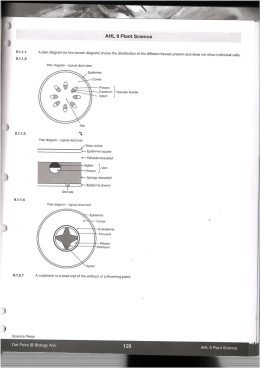 9.1 DOT Practice Questions ANSWERS