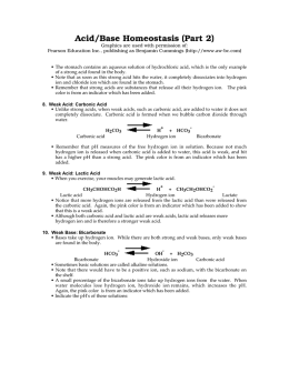 Acid/Base Homeostasis (Part 2)