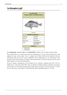 Actinopterygii - aquaticnation.org