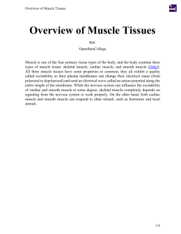 Overview of Muscle Tissues