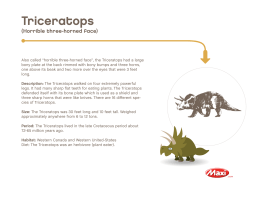 Triceratops - Maxi Canada