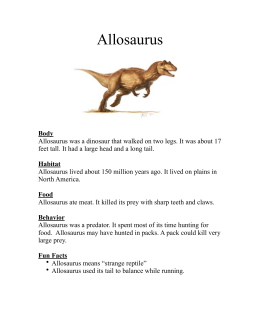 Dinosaur Fact Sheet