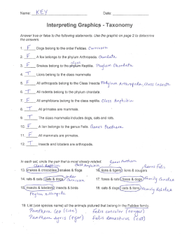 Interpreting Graphics