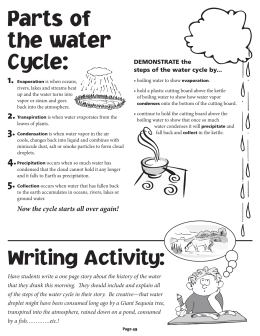 Parts of the water Cycle
