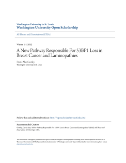 A New Pathway Responsible For 53BP1 Loss in Breast Cancer and