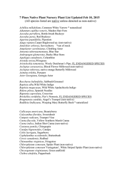 7 Pines Plant List